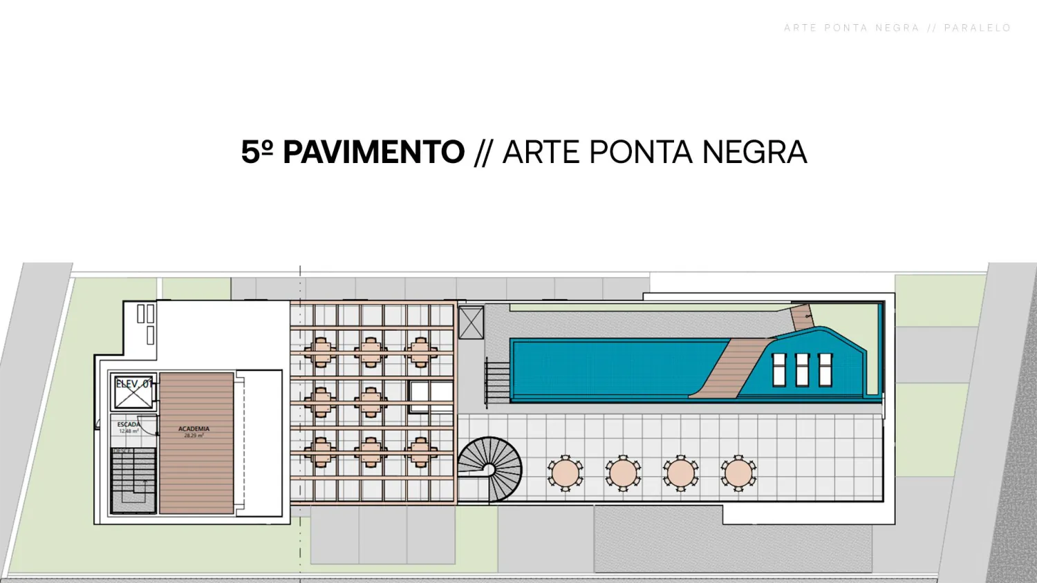 Arte Ponta Negra — página 32