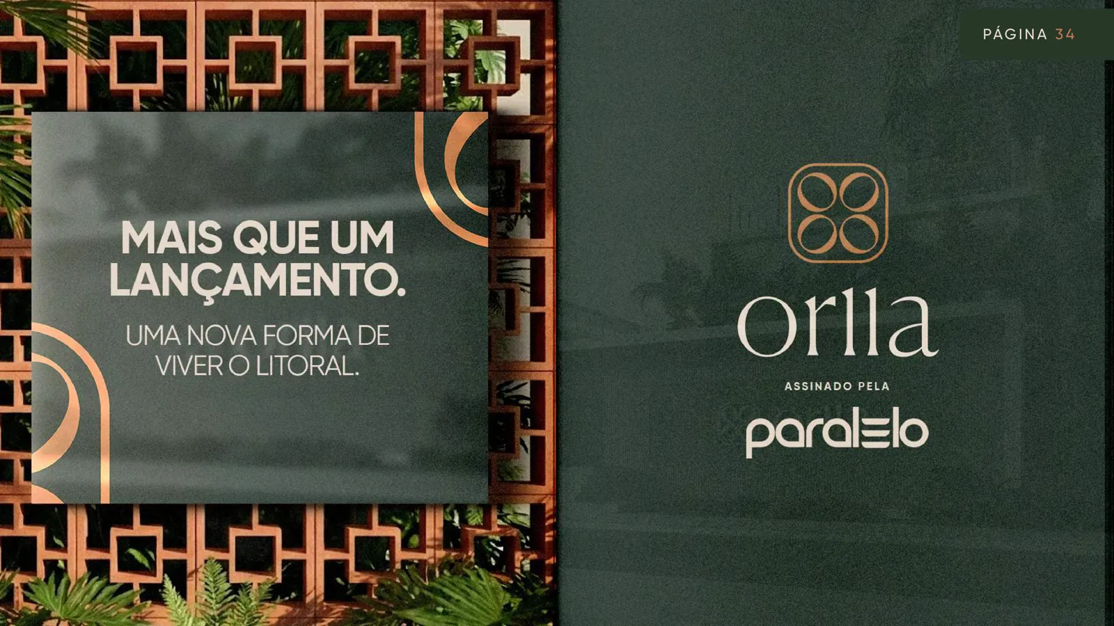 Orlla Pirangi — página 34